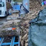 Pioz Bois, vente de bois a attignat oncin en savoie