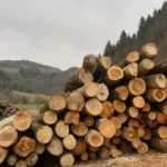 Pioz Bois, vente de bois à proximité de moi en savoie