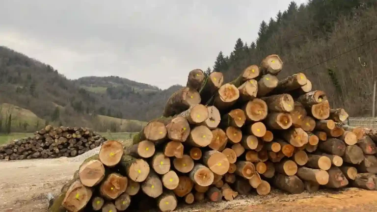 Pioz Bois, vente de bois à proximité de moi en savoie