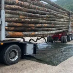 Pioz Bois, vente de bois à saint franc en savoie