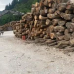 Pioz Bois, vente de bois à saint laurent du pont dans l'isère