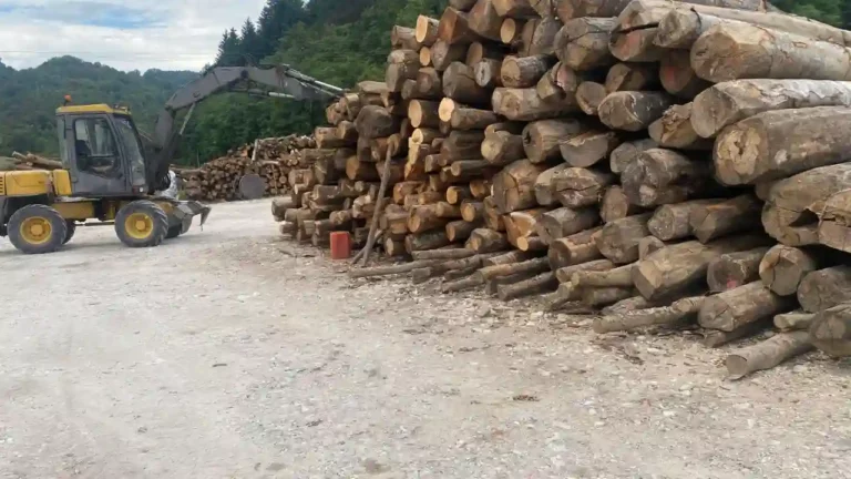 Pioz Bois, vente de bois à saint laurent du pont dans l'isère