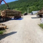 Pioz Bois, vente de bois au échelles en savoie