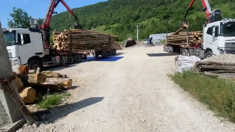 Pioz Bois, vente de bois au échelles en savoie