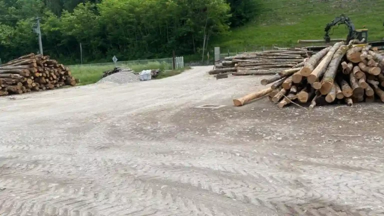 Pioz Bois, vente de bois autour de moi en savoie