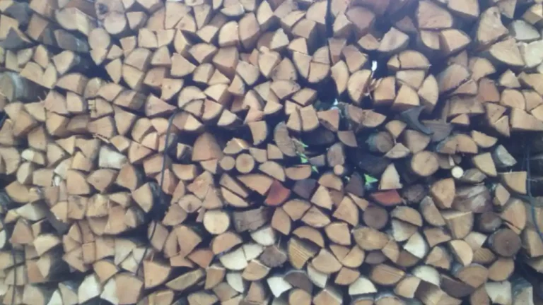Pioz Bois - Bois de chauffage en Savoie, Bois de Chauffage en Isère