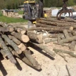 Pioz Bois - Bois de chauffage en Savoie, Bois de Chauffage en Isère