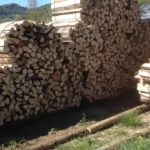 Pioz Bois - Bois de chauffage en Savoie, Bois de Chauffage en Isère