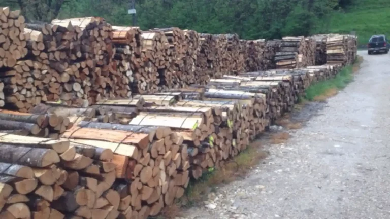 Pioz Bois - Bois de chauffage en Savoie, Bois de Chauffage en Isère