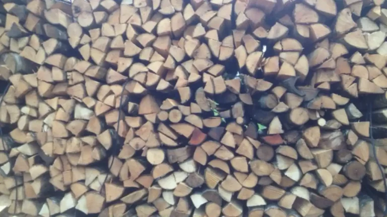 Pioz Bois - Bois de chauffage en Savoie, Bois de Chauffage en Isère