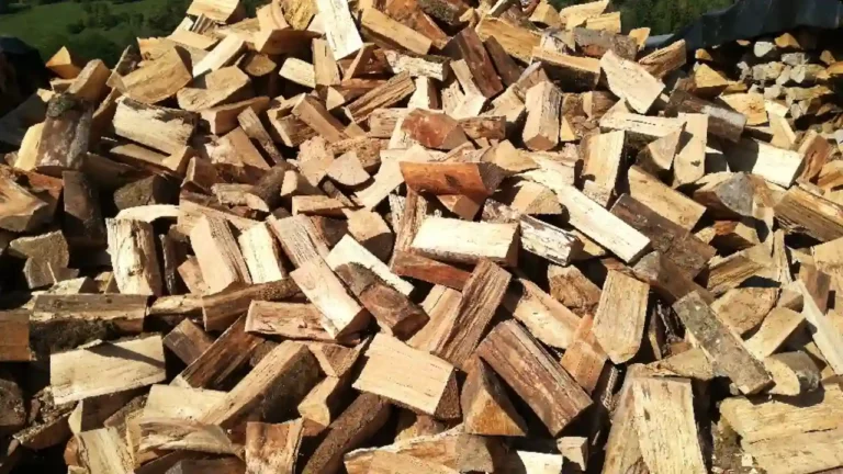 Pioz Bois - Bois de chauffage en Savoie, Bois de Chauffage en Isère